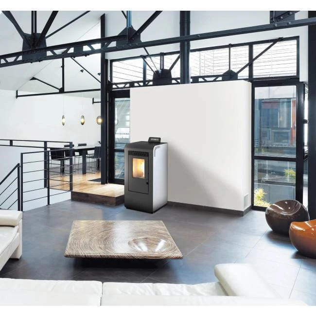 Pack poêle à granulés Baggia Evo + Kit d'installation sortie dessus Pack Poêle à Granulés Baggia Evo + Kit D'installation Sortie Dessus -Top Chaleur pack poele a granules baggia evo kit d installation sortie dessus baggia12 conf 4 1